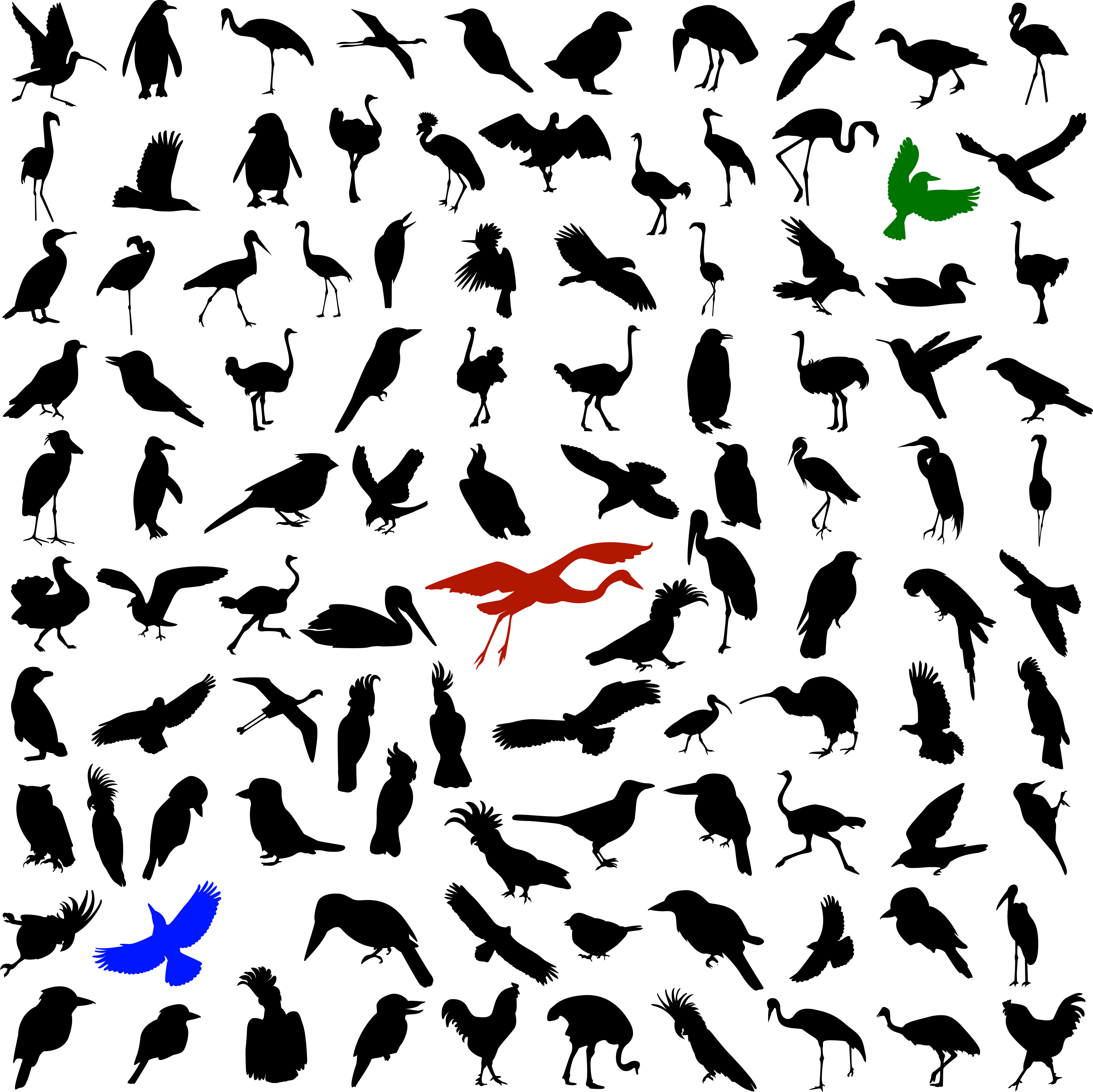 무료주식정보>무료주식테마>[테마주] 조류인플루엔자(조류독감) 관련주 ㅣ 무료주식정보는 핀업